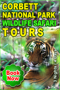 Corbett National Park Wildlife Safari Tours - Amidst Himalayas